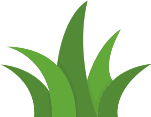 Grass Icon