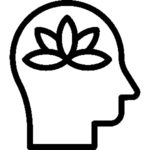 Peace of Mind Icon