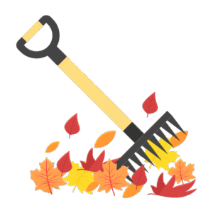 Fall Cleanup Icon