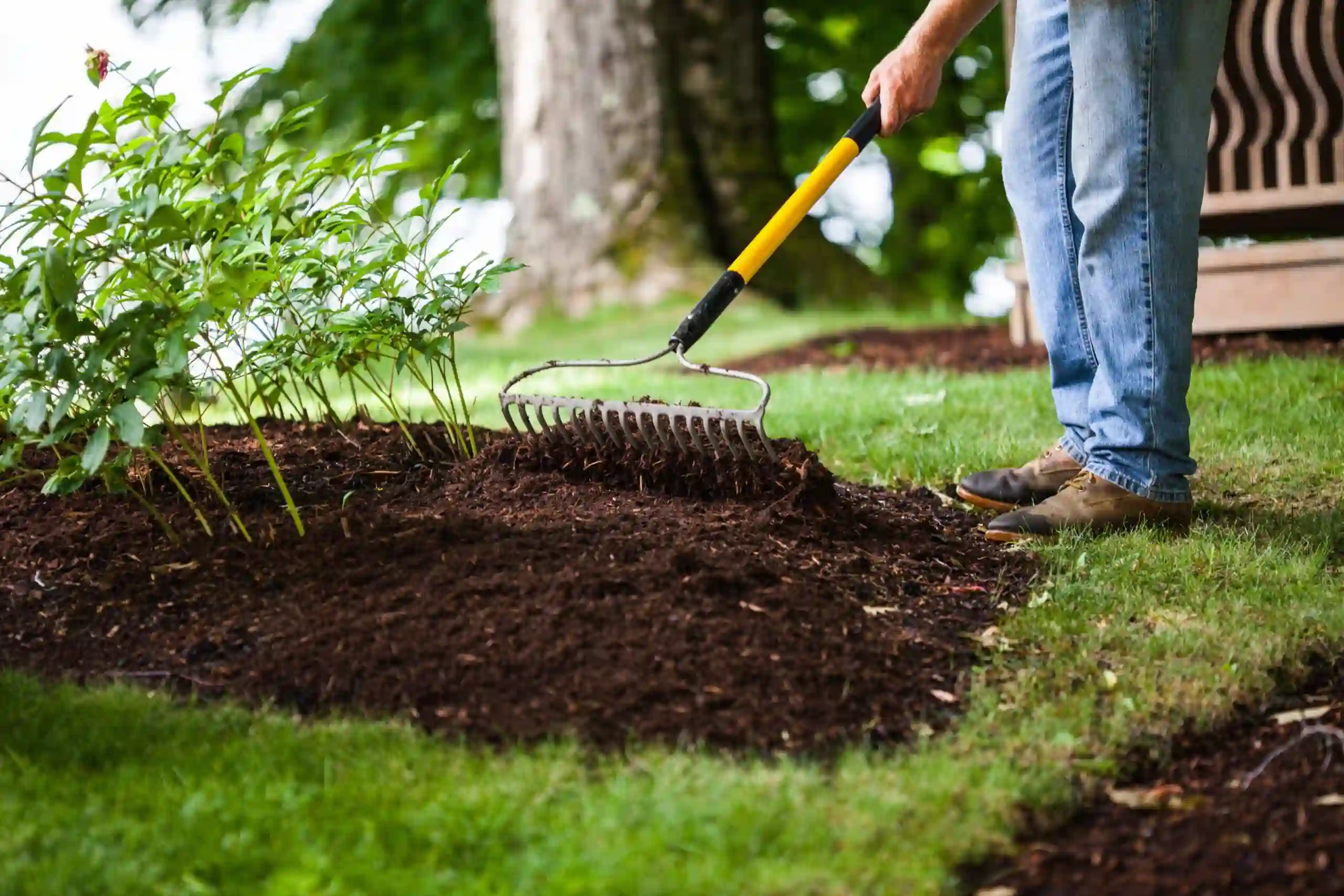 Man spreading mulch in garden beds