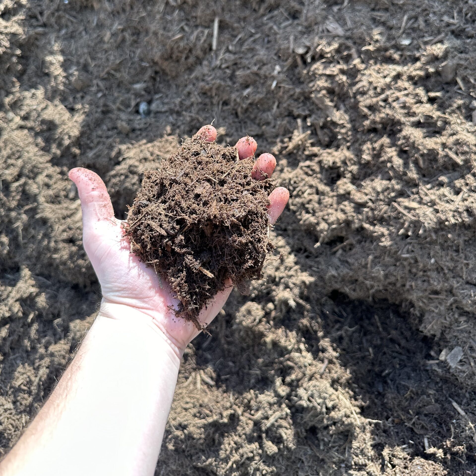 Mark holding triple shredded hardwood mulch to show size and color